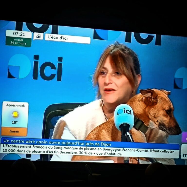 Villa des Truffes sur France 3